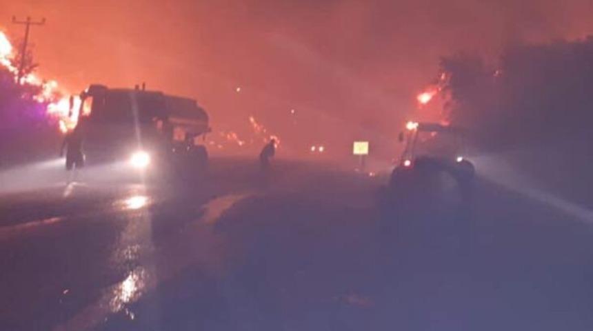 İzmir'in Menderes il&ccedil;esinde orman yangını