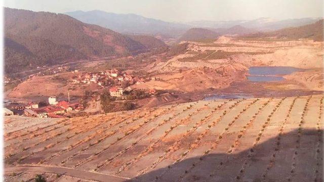 Emet’te 258 bin 175 fidan toprakla buluştu