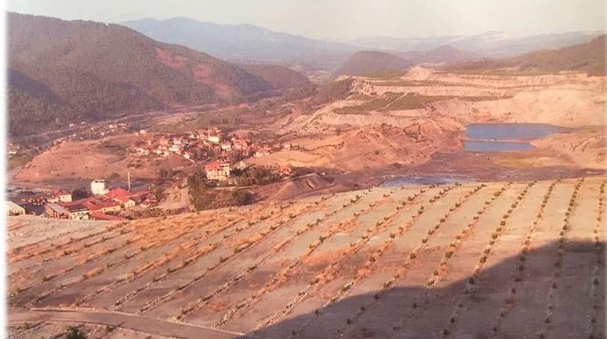 Emet’te 258 bin 175 fidan toprakla buluştu