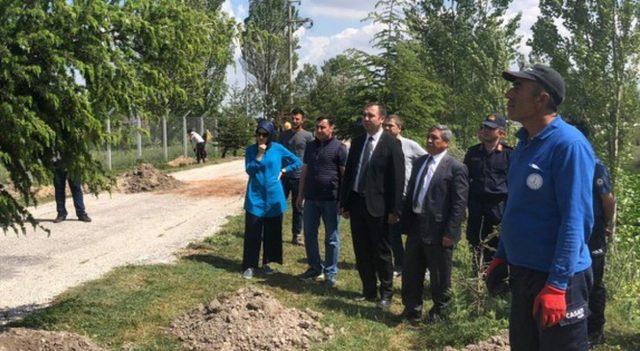 Altıntaş’ta yürüyüş yolu ve ağaçlandırma çalışmaları