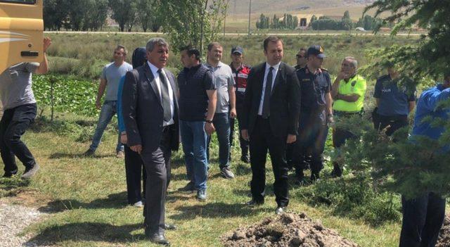 Altıntaş’ta yürüyüş yolu ve ağaçlandırma çalışmaları