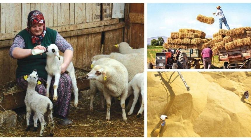 10. Tarım ve İnsan Ulusal Fotoğraf Yarışması