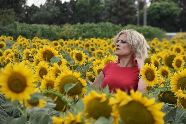 Trakya'nın 'sarı gelini' hastalıkları yendi, çiftçiyi güldürdü