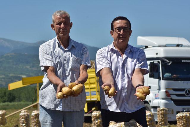 Bursa'da patates hasadı başladı