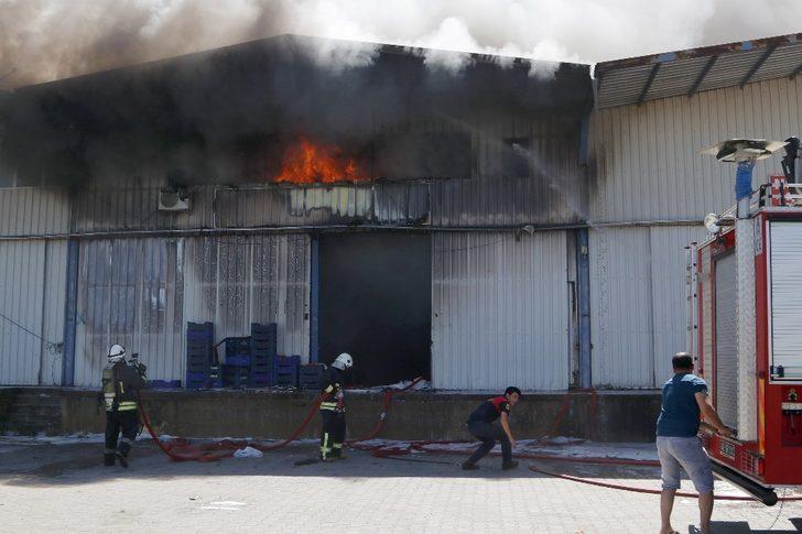 Toptancı Halinde Çıkan Yangın Korkuttu G1