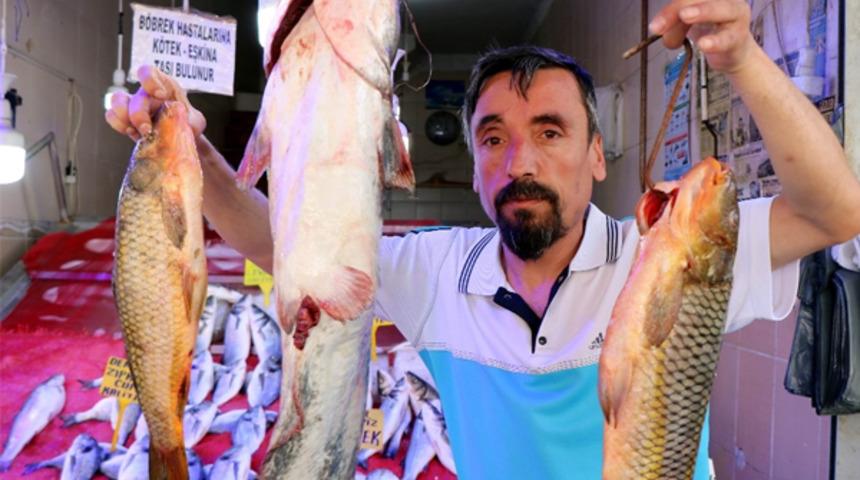 1 Nisan’da iç sularda başlayan av yasağı bitti 