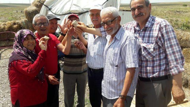 Koca Çınarlar köy ziyaretlerine başladı