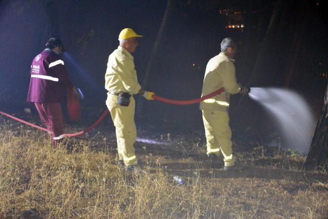 Kahramanmaraş'ta orman yangını