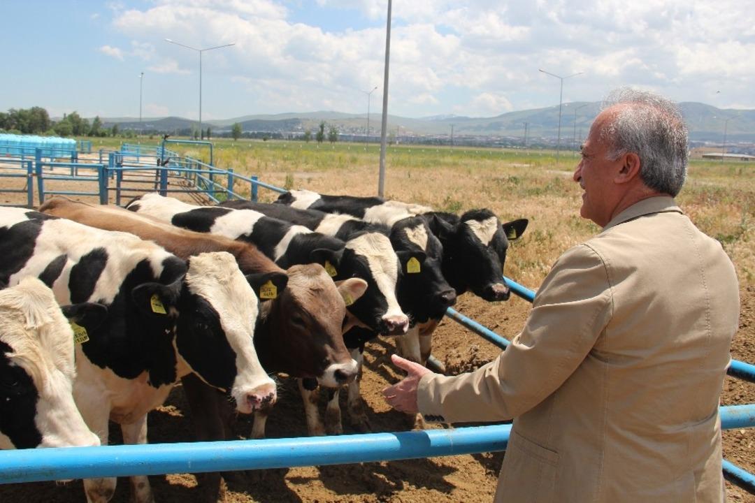 Zirai bilimlerde d&uuml;nya ile rekabet ediyorlar