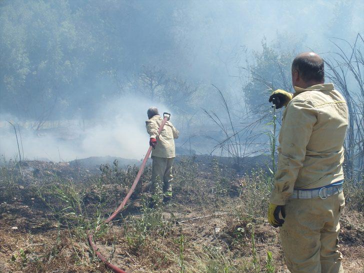 GÜNCELLEME 2 Mersin'de orman yangını Son Dakika Haberler