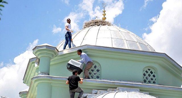 Cami kubbesindeki leylekler elektrik akımına kapıldı