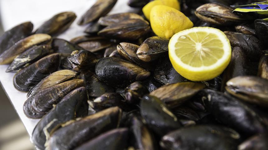 Midye haftada 3-4 adetle sınırlandırılmalı!