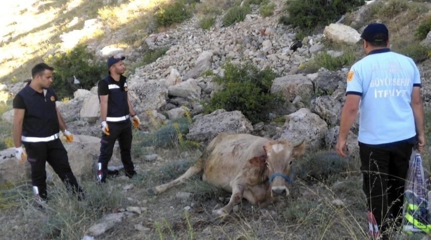 Mahsur kalan inek ve kedi, itfaiye ekipleri tarafından kurtarıldı