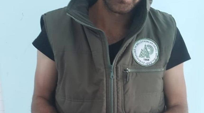 Yaralı kuşlar tedavi altına alındı