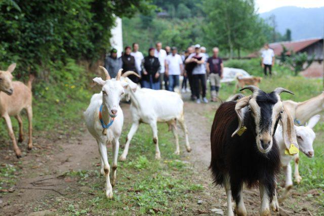 Bal ormanına taş ocağına iptal kararı sevindirdi