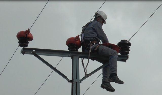 Kuşlar ölmesin diye elektrik hatlarına izolasyonlu önlem