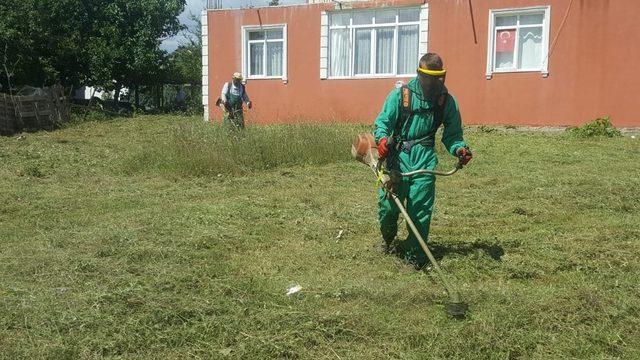 İzmit Belediyesi ot biçme çalışmalarını sürdürüyor