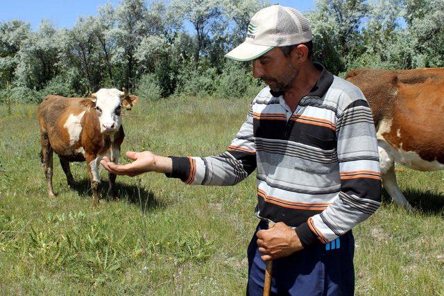 1 ayda 5 kez kene ısırdı