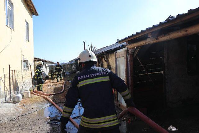 Bolu’da, hindi kümesinde yangın 1