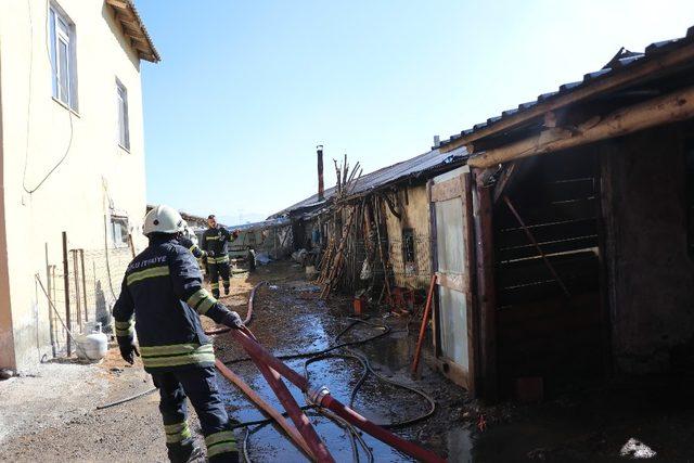 Bolu’da, hindi kümesinde yangın 2
