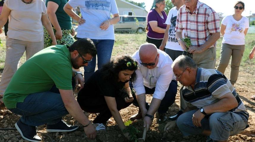 Engelli bireyler &uuml;reterek kazanacak