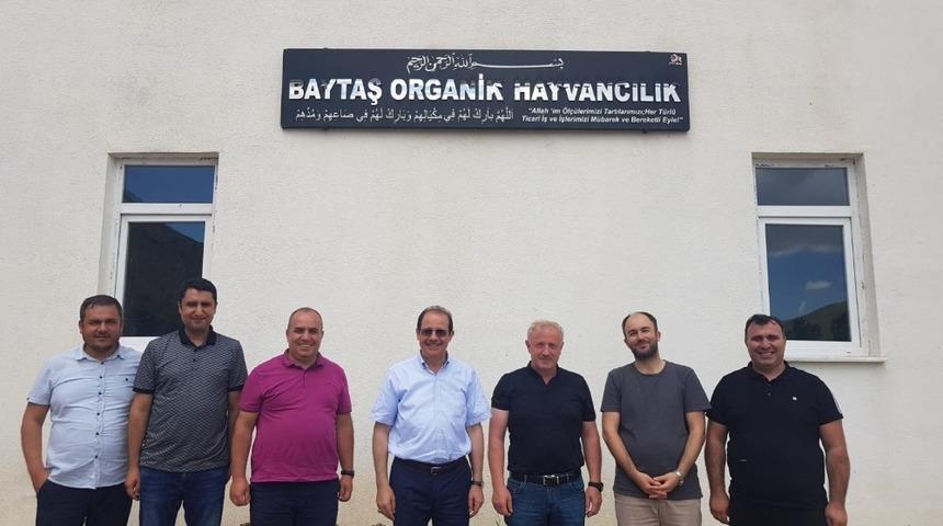 Organik yem katkı maddesi ilk testlerden başarıyla ge&ccedil;ti