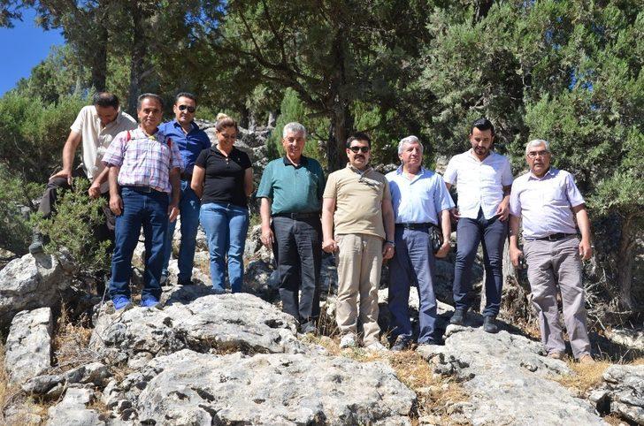 35 milyon yıllık! Hemen incelemeye alındı G5