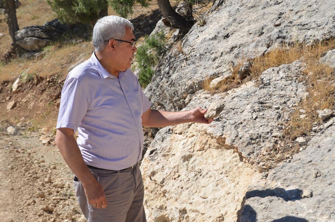 35 milyon yıllık! Hemen incelemeye alındı