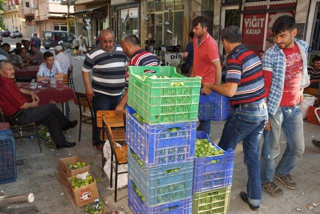 Aydın’da ilek fiyatları fırladı