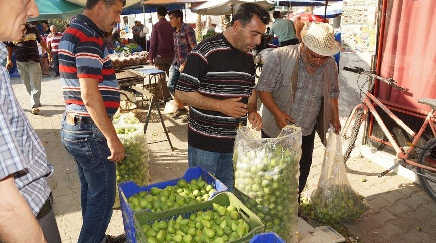 Aydın&rsquo;da ilek fiyatları fırladı