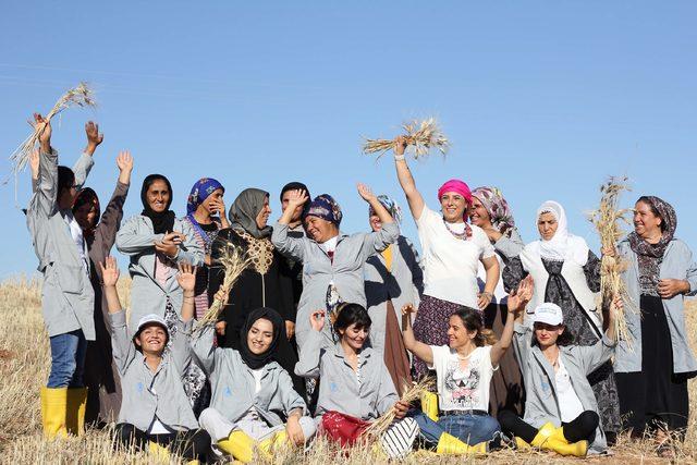 Mardin'in ata tohumları, Suriyeli mültecileri iş sahibi yaptı