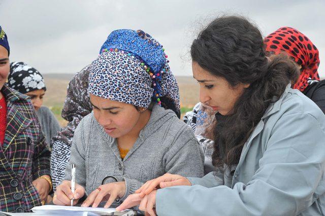 Mardin'in ata tohumları, Suriyeli mültecileri iş sahibi yaptı