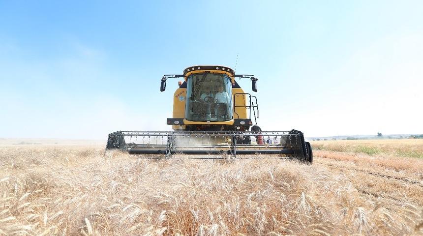 Başkan Tahmazoğlu çiftçilerin sevincine ortak oldu