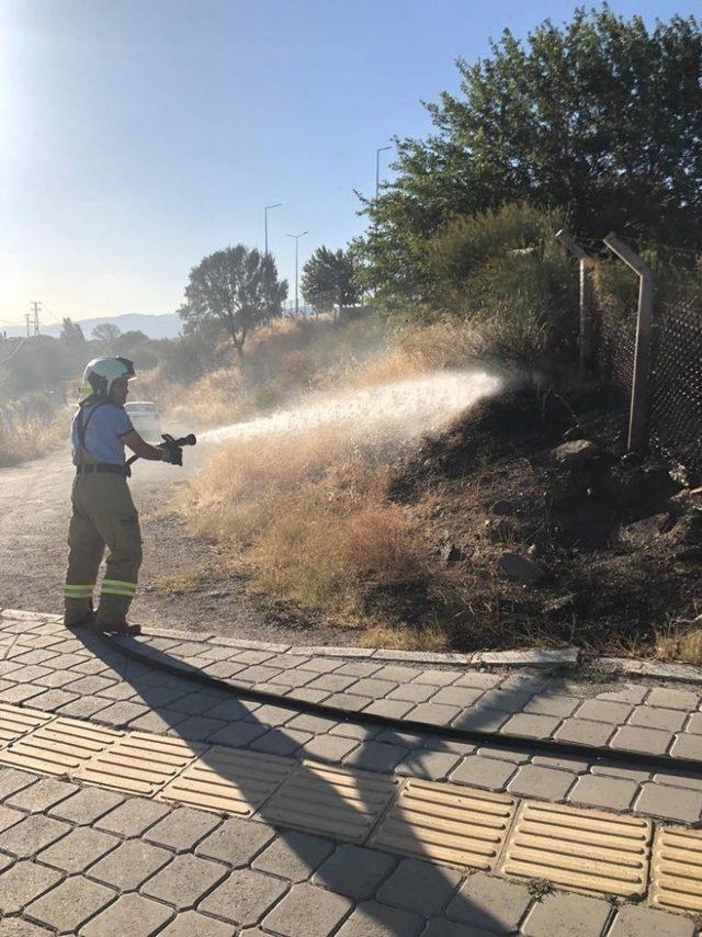 Burhaniye’de ot yangını korkuya neden oldu