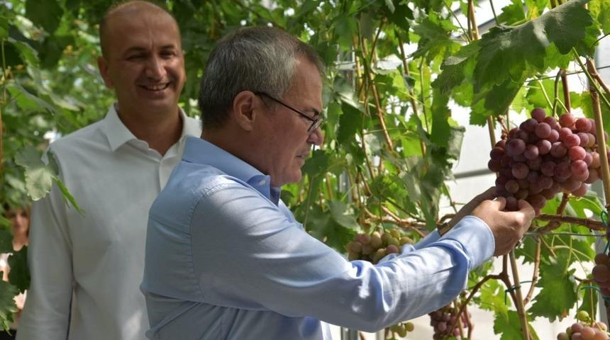 Vali Deniz, Bağcılık Araştırma Enstit&uuml;s&uuml;nde incelemelerde bulundu