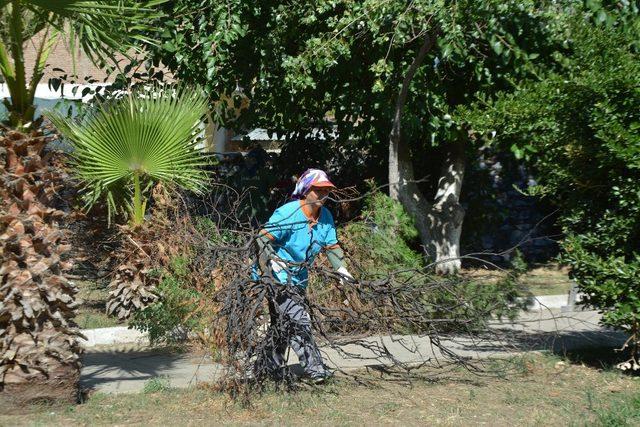 Söke Belediyesi, Bağarası Kemalpaşa Parkı’nı ayağa kaldırıyor