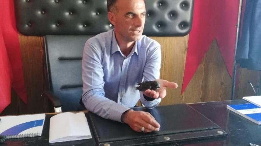 Yorgun ve bitkin vaziyetteki ebabil kuşunu Doğa Koruma ve Milli Parklar ekiplerine teslim etti