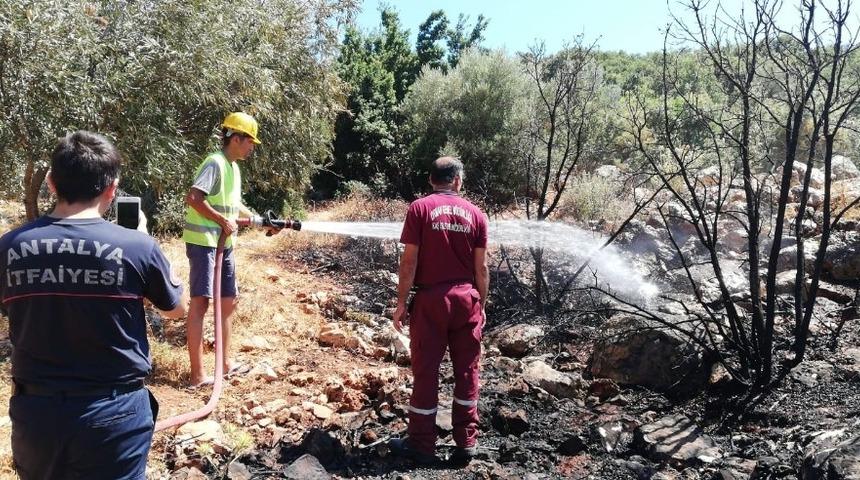 Kaş&rsquo;ta makilik alanda yangın