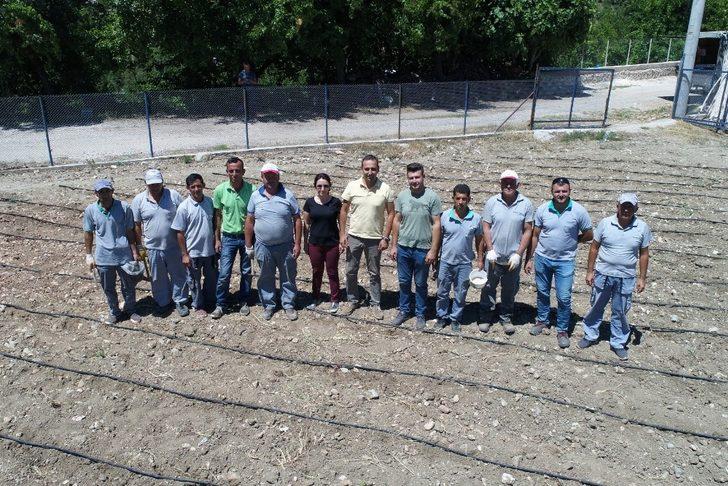 Konyaaltı’nda adım adım Fasulye Şenliğine G3