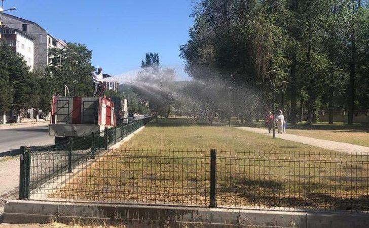 Tatvan Belediyesinden çimlendirme çalışması G2