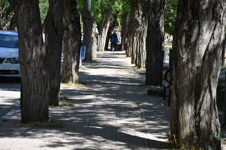 Tatvan Belediyesinden çimlendirme çalışması G4