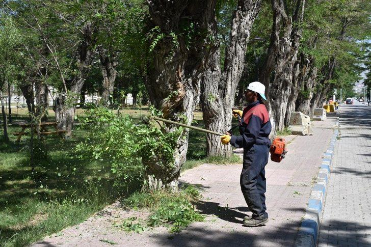 Tatvan Belediyesinden çimlendirme çalışması G5