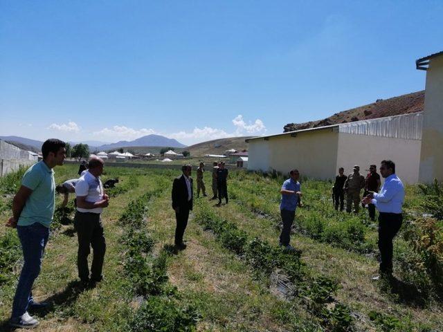 Kaymakam Dundar ve Başkan Ensari’den mahalle ziyareti