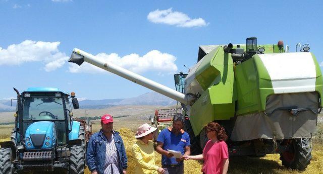 ’Hububat Timleri’ iş başında, fazla dane kaybını önleyerek, biçerdöver ihlallerine yaptırım uygulayacaklar