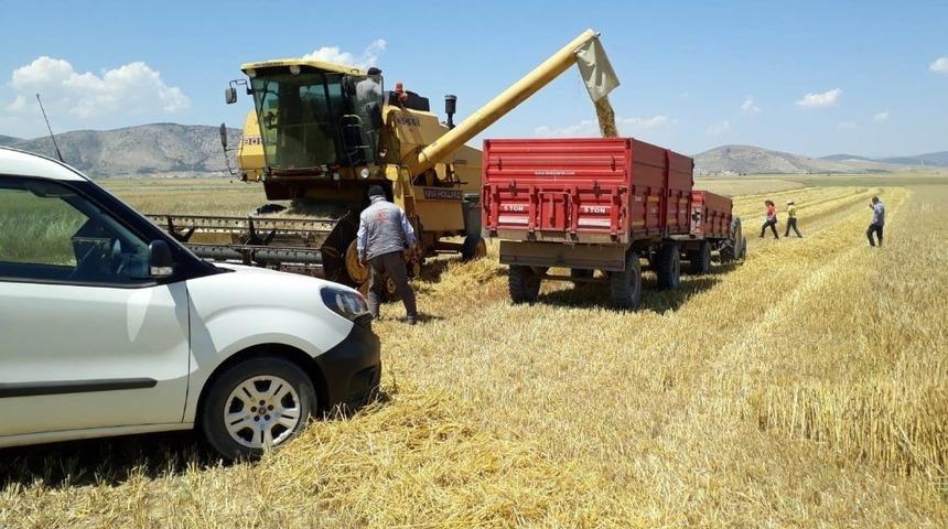 &rsquo;Hububat Timleri&rsquo; iş başında, fazla dane kaybını &ouml;nleyerek, bi&ccedil;erd&ouml;ver ihlallerine yaptırım uygulayacaklar