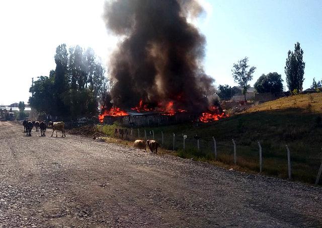 Ahırda çıkan yangında hayvanlar öldü