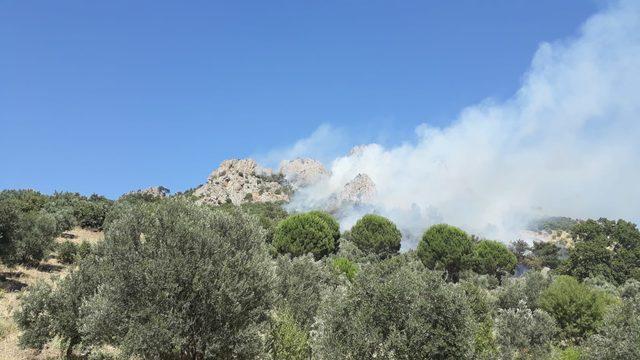 Gömeç'teki orman yangınında 1 hektar alan yandı
