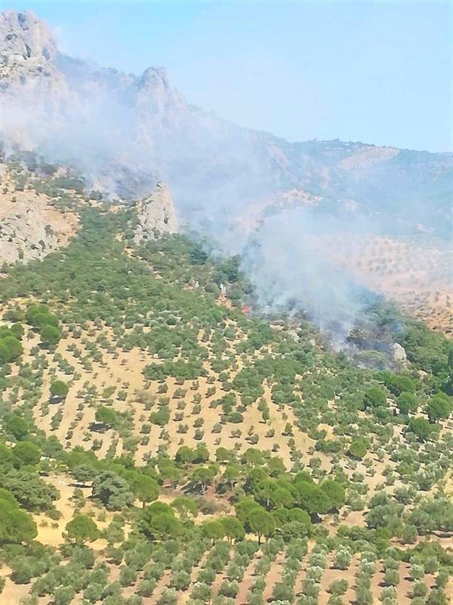 Gömeç'teki orman yangınında 1 hektar alan yandı