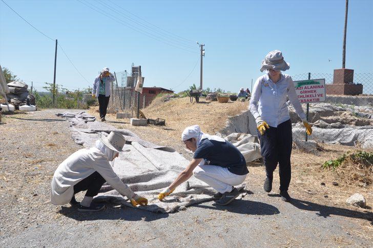  Gözlükule Höyüğü'nde tarih gün yüzüne çıkıyor G5