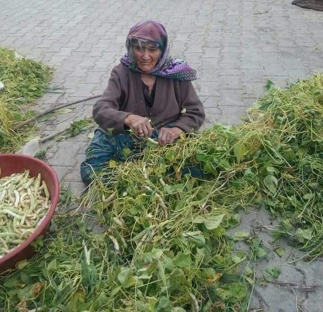 Beyşehir’in Akçabelen Çetmi Şeker Fasulyesi coğrafi işaret aldı